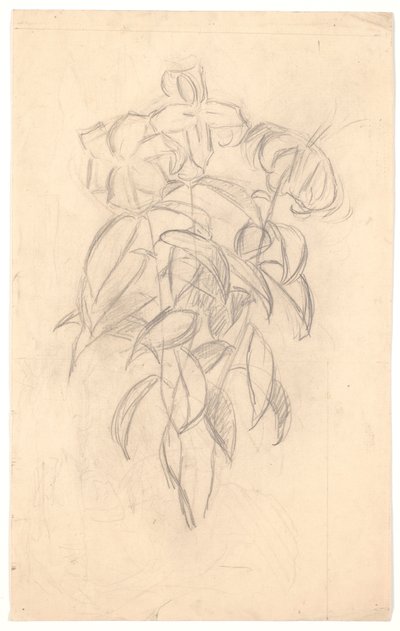 Blumenstudie von Joakim Frederik Skovgaard