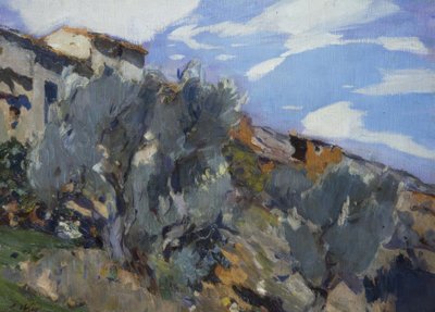 Bauernhaus mit Wald von Joaquim Mir i Trinxet