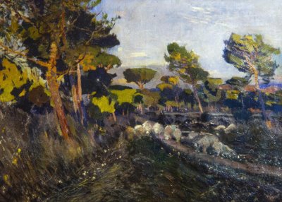 Ohne Titel von Joaquim Mir i Trinxet