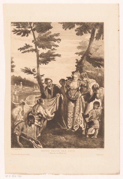 Moses aus dem Nil gerettet von Joaquín Araujo Ruano