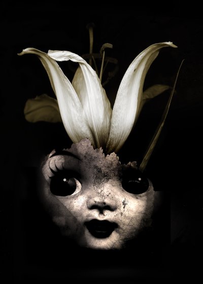 Puppenblume, 2013 von Johan Lilja