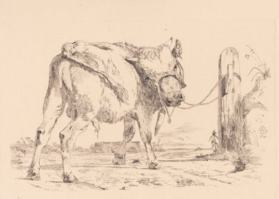 Ein Stierkalb an einen Pfosten gebunden von Johan Thomas Lundbye