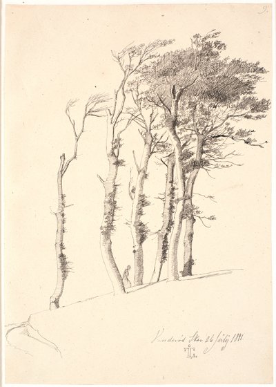 Gruppe von windgepeitschten Bäumen von Johan Thomas Lundbye