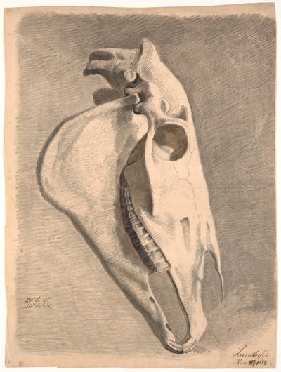 Pferdeschädel von Johan Thomas Lundbye