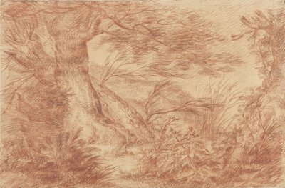 Pflanzen und Gräser bei alten Weidenstämmen von Johann Elias Ridinger