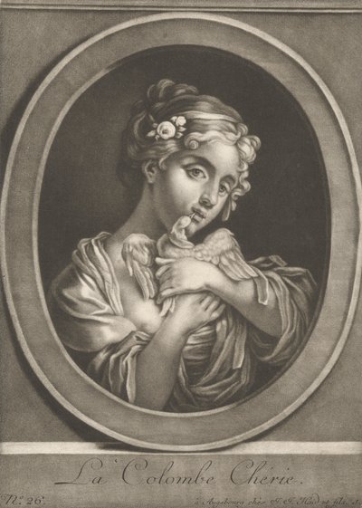 Die geliebte Taube von Johann Jacobus Haid