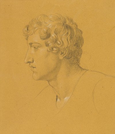 Studie eines Kopfes von Johann Peter Krafft