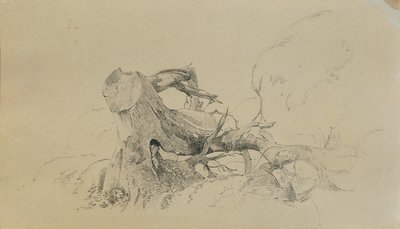 Wurzelwerk, umgestürzter Baum von Johann Peter Krafft