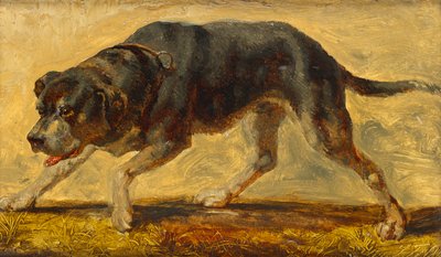 Hundestudie von Johann  Till der Jüngere