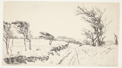 Landschaft Breininggaard von Johanne Krebs