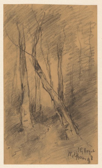 Waldlandschaft bei Wolfheze von Johannes Gijsbert Vogel