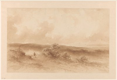 Dünenlandschaft von Johannes Hilverdink