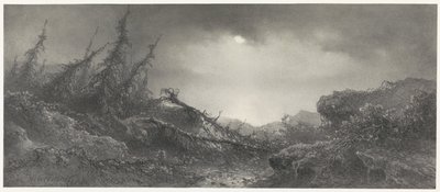Nach dem Sturm von Johannes Hilverdink