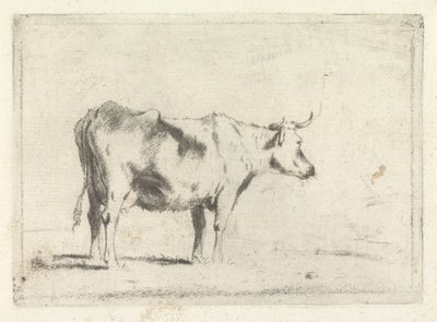 Kuh, nach rechts von Johannes Janson (possibly)
