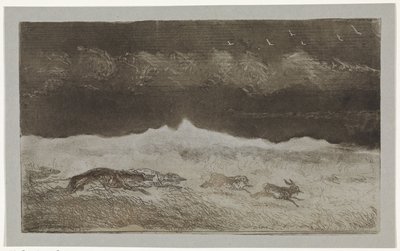 Hasenjagd von Johannes Tavenraat