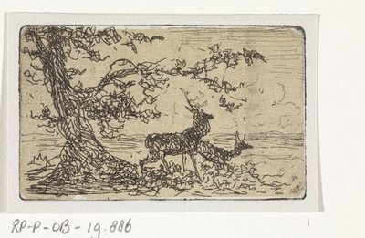 Zwei Hirsche unter einem Baum von Johannes Tavenraat
