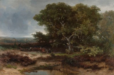 Die Heide bei Wolfheze von Johannes Warnardus Bilders