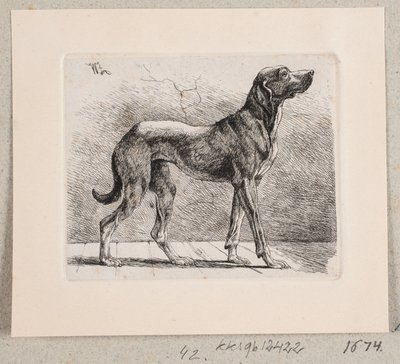 Ein stehender Hund von Johannes Wilhelm Zillen