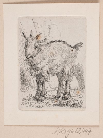 Ein Ziegenkitz von Johannes Wilhelm Zillen