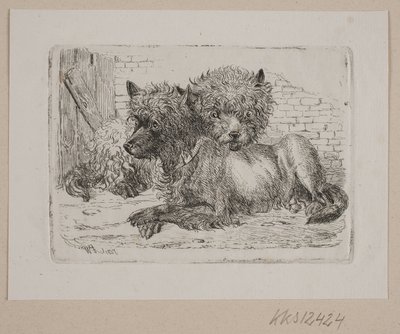 Zwei liegende Hunde von Johannes Wilhelm Zillen