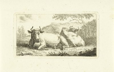 Zwei liegende Kühe von Johannes van Cuylenburgh