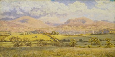 Caernarvon von John Brett