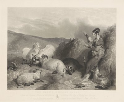 Das Mädchen, das Schafe hütet von John Burnet