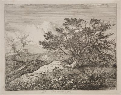 In Bawburgh von John Crome