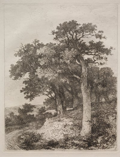 In Colney von John Crome