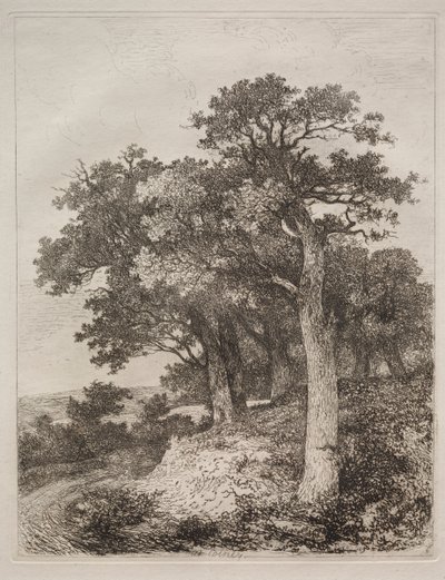 In Colney von John Crome