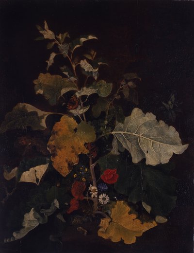 Studie einer Klette von John Crome