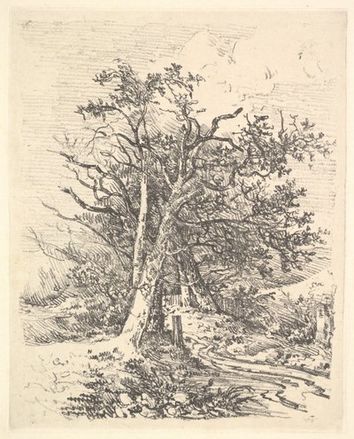 Baumstämme und Weg, 1811-13 von John Crome