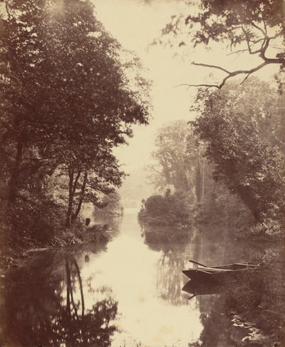 Ein Sommerabend, Penllergare von John Dillwyn Llewelyn
