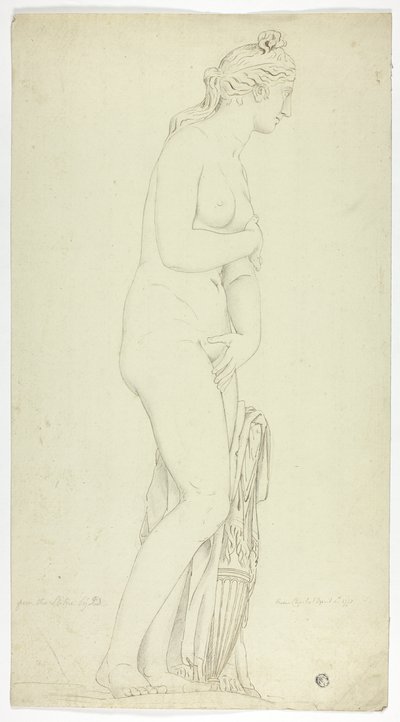 Antike Statue der stehenden Venus von John Downman