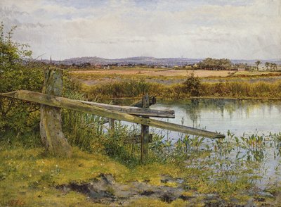Am Straßenrand, 1862 von John Edward Newton
