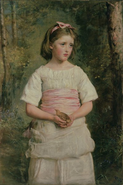 Aus dem Nest gefallen von John Everett Millais