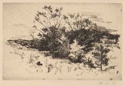 Herbst Avondale von John Henry Twachtman