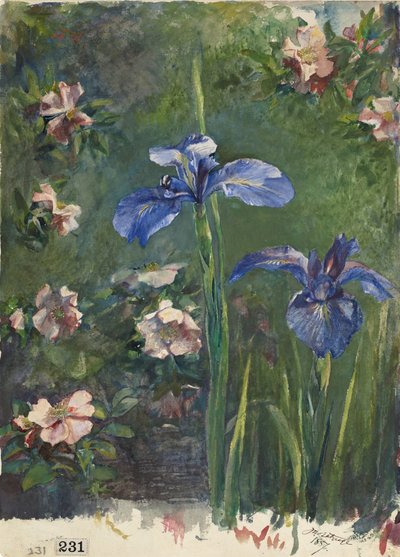 Wilde Rosen und Schwertlilien von John La Farge