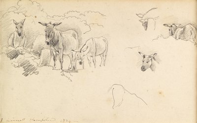 Esel, 1824 von John Linnell