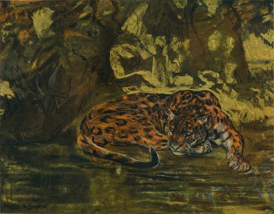 Ein Jaguar von John Macallan Swan