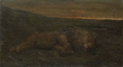 Schlafender Löwe bei Nacht von John Macallan Swan