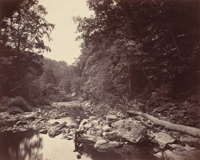 Der Wissahickon Creek bei Philadelphia von John Moran