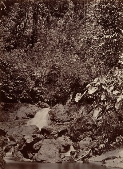 Tropische Landschaft, Wasserfall, Limon River, 1871 von John Moran