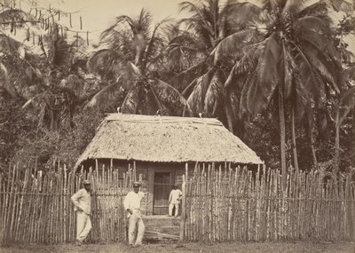 Tropische Landschaft, Einheimische Hütte, Turbo, 1871 von John Moran