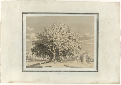 Espe von John Robert Cozens