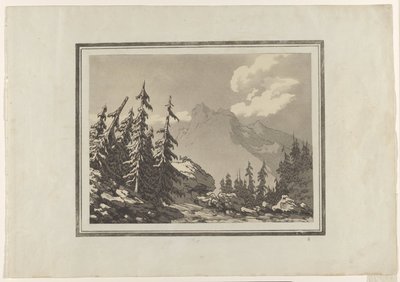 Tanne von John Robert Cozens