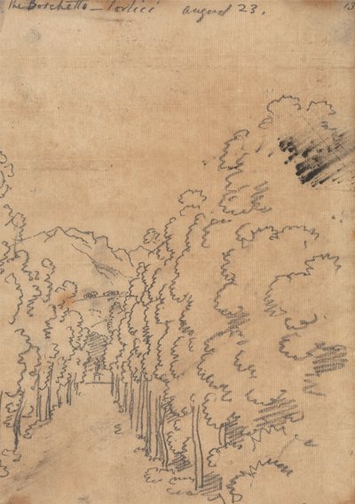 Der Boschetto, Portici, 23. August von John Robert Cozens
