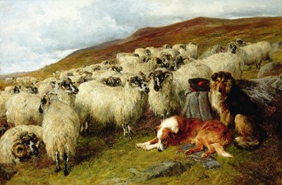 Müde aber wachsam von John Sargent Noble