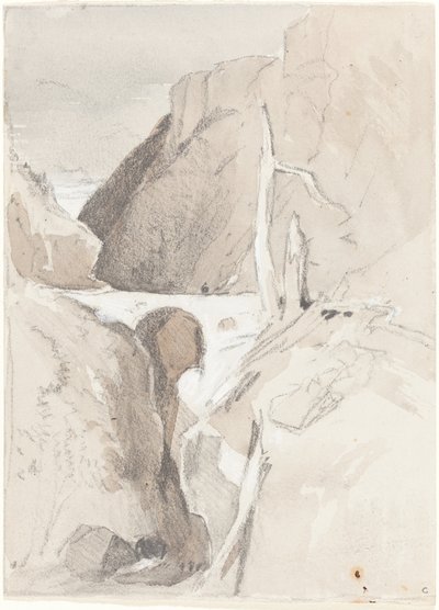 Schlucht mit Baumstümpfen von John Sell Cotman