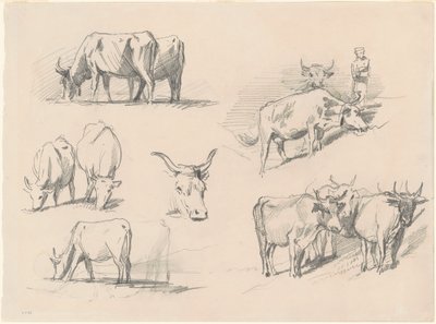 Studien von Rindern, ca. 1872 von John Singer Sargent